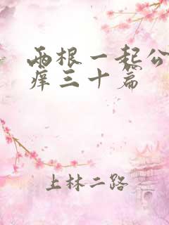 两根一起公憩止痒三十篇