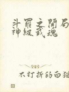 斗罗之开局签到神级武魂