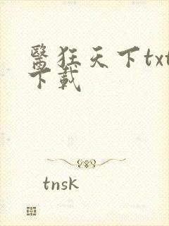 医狂天下txt下载