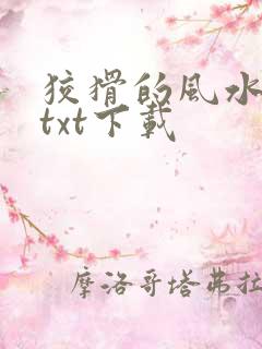 狡猾的风水相师txt下载