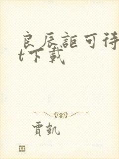 良辰讵可待txt下载