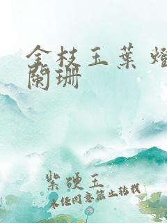 金枝玉叶 灯火阑珊