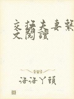 交换夫妻系列全文阅读