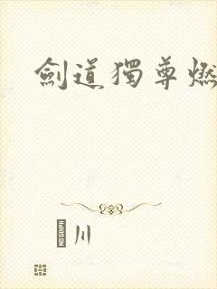 剑道独尊燃文