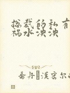 总裁的私有宝贝祸水泱泱