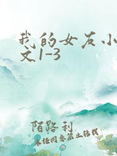 我的女友小洁全文1-3