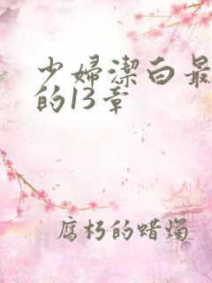 少妇洁白最刺激的13章