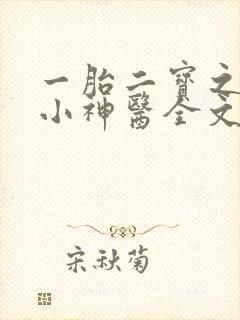 一胎二宝之弃妃小神医全文免费阅读