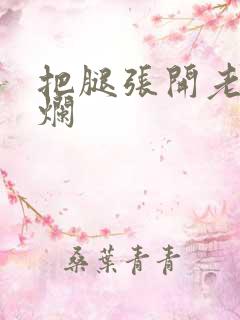 把腿张开老子臊烂