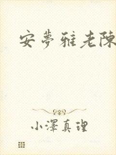 安梦雅老陈