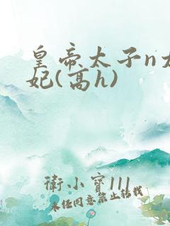 皇帝太子n太子妃(高h)