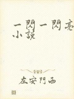 一闪一闪亮晶晶小说