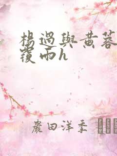 杨过与黄蓉翻云覆雨h