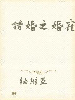 错婚之婚宠一世