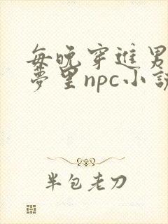每晚穿进男神的梦里npc小说