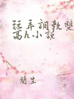 玩弄调教双胞胎高h小说