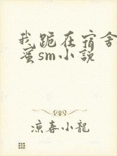 我跪在宿舍被闺蜜sm小说