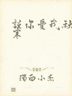 说你爱我秋夜雨寒