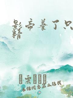 影帝养了只兰花精