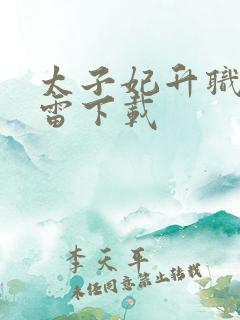 太子妃升职记迅雷下载