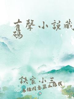 有声小说藏地密码