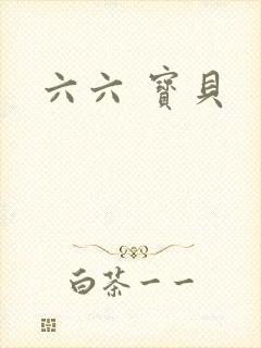 六六 宝贝