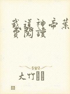 武道神帝叶辰免费阅读