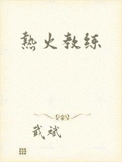 热火教练