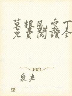 草根风云丁长生免费阅读全本