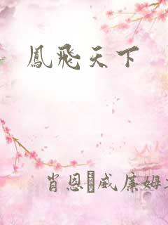 凤飞天下