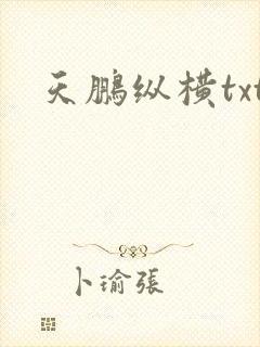 天鹏纵横txt