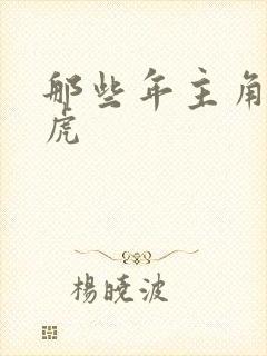 那些年主角贾二虎