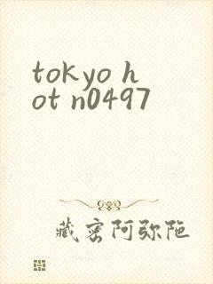 tokyo hot n0497