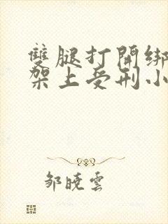 双腿打开绑在刑架上受刑小说