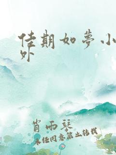 佳期如梦小说番外