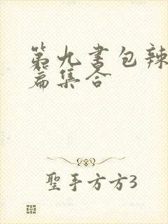 第九书包辣肉短篇集合