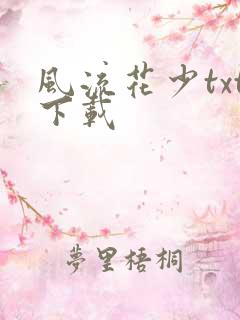 风流花少txt下载