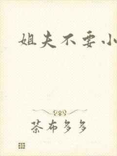 姐夫不要小说