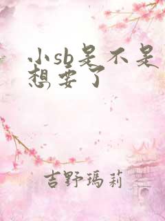 小sb是不是又想要了