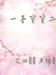 一手宝宝二手妻