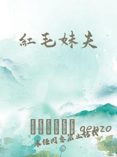 红毛妹夫