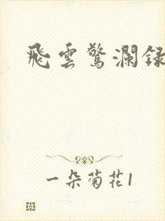 飞云惊澜录