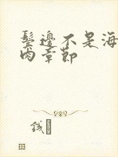 鬓边不是海棠红肉章节