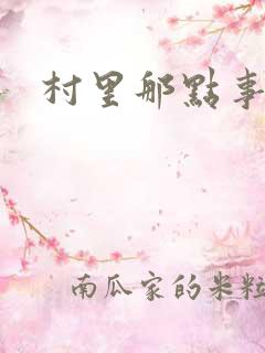 村里那点事儿