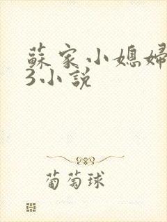 苏家小媳妇1V3小说