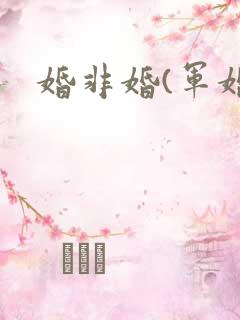 婚非婚(军婚)