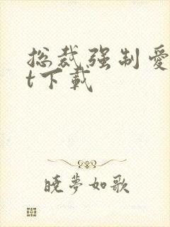 总裁强制爱txt下载