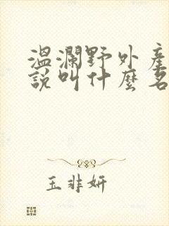 温澜野外产子小说叫什么名字
