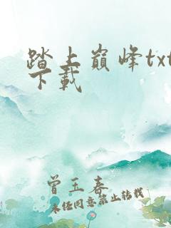 踏上巅峰txt下载