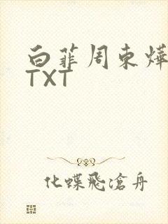 白菲周东烨小说TXT